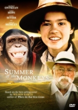 Cover art for Summer of the Monkeys