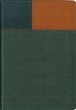 Cover art for NIV Thinline Bible LTD (New International Version)