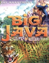 Cover art for Big Java