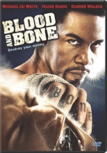 Cover art for Blood and Bone