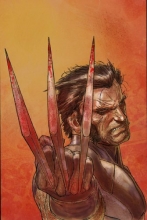 Cover art for Wolverine: Weapon X, Vol. 1 - Adamantium Men
