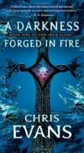 Cover art for A Darkness Forged in Fire (Series Starter, Iron Elves #1)