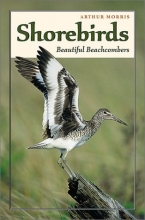 Cover art for Shorebirds: Beautiful Beachcombers