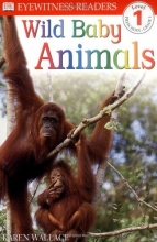 Cover art for DK Readers: Wild Baby Animals (Level 1: Beginning to Read)