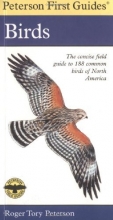 Cover art for Peterson First Guide to Birds of North America