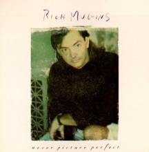 Cover art for Never Picture Perfect