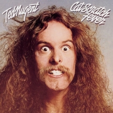 Cover art for Cat Scratch Fever