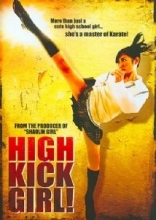 Cover art for High Kick Girl