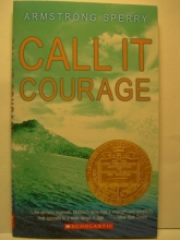 Cover art for Call It Courage