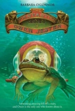 Cover art for Fantastic Secret of Owen Jester