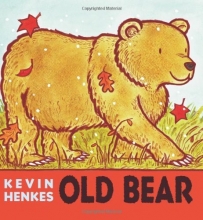 Cover art for Old Bear
