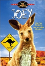 Cover art for Joey