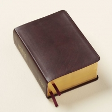 Cover art for Latter-Day Saint Regular Quadruple Combination (Holy Bible, Book of Mormon, Doctrine & Covenants, Pearl of Great Price) Genuine Leather - Burgundy