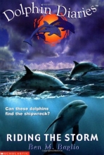 Cover art for Riding the Storm (Dolphin Diaries #3)