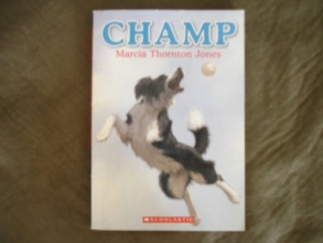 Cover art for Champ
