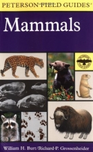 Cover art for A Field Guide to Mammals: North America north of Mexico (Peterson Field Guides)