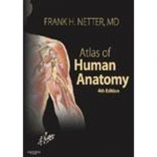 Cover art for Atlas of Human Anatomy