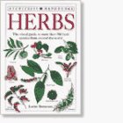 Cover art for Herbs (DK Handbooks)