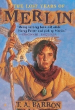 Cover art for The Lost Years of Merlin