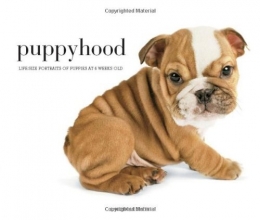 Cover art for Puppyhood: Life-size Portraits of Puppies at 6 Weeks Old