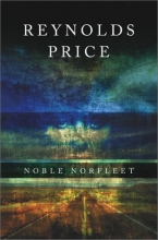 Cover art for Noble Norfleet: A Novel