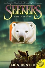 Cover art for Seekers #5: Fire in the Sky