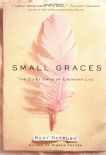 Cover art for Small Graces: The Quiet Gifts of Everyday Life