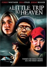 Cover art for A Little Trip to Heaven