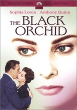 Cover art for The Black Orchid