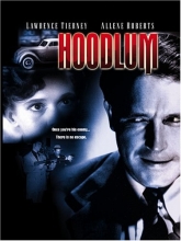 Cover art for The Hoodlum