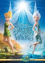 Cover art for Secret of the Wings