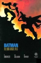 Cover art for Batman: The Dark Knight Falls Book Four