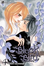 Cover art for Black Bird, Vol. 4