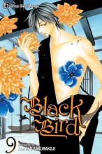 Cover art for Black Bird, Vol. 9