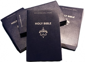 Cover art for NIV Thinline - Limited Edition Bible Bee Branded - Bible