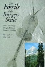 Cover art for The Fossils of the Burgess Shale