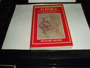 Cover art for Fossils: How to Find and Identify Over 300 Genera (MacMillan Field Guides)