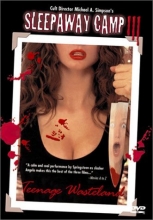 Cover art for Sleepaway Camp III: Teenage Wasteland