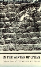 Cover art for In the Winter of Cities