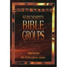 Cover art for Serendipity Bible for Groups, New International Version