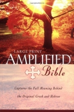 Cover art for Amplified Bible,. Large Print