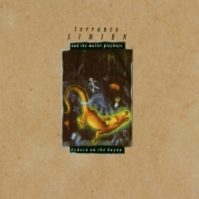 Cover art for Zydeco on Bayou