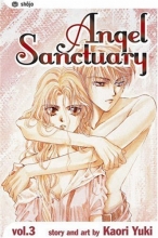 Cover art for Angel Sanctuary, Vol. 3