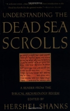 Cover art for Understanding the Dead Sea Scrolls: A Reader From the Biblical Archaeology Review