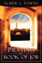 Cover art for Praying the Book of Job (Praying the Scriptures (Destiny Images))