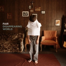 Cover art for Disappearing World