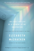 Cover art for An Exact Replica of a Figment of My Imagination: A Memoir