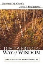 Cover art for Discovering the Way of Wisdom