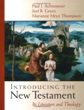 Cover art for Introducing the New Testament: Its Literature and Theology