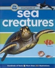 Cover art for Sea Creatures (My First Encyclopedia of)